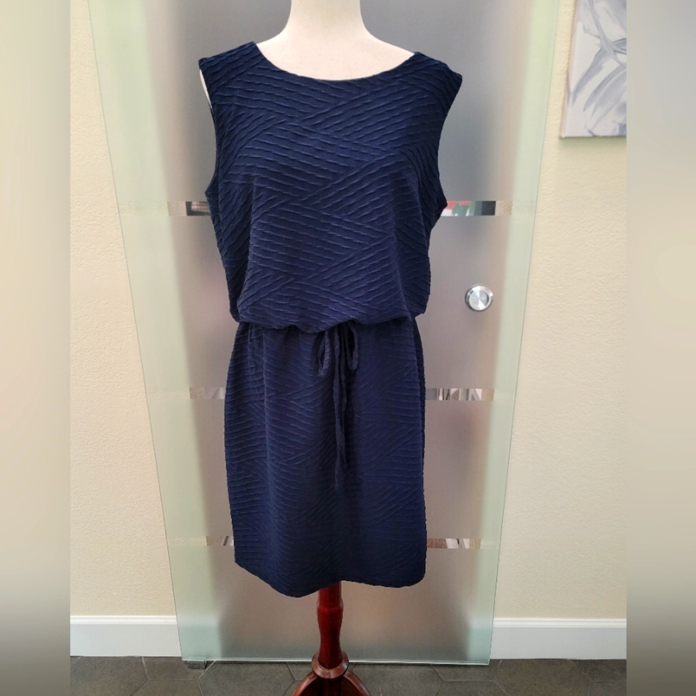 Enfocus Studio Navy Blue Sleeveless Dress Sz 14